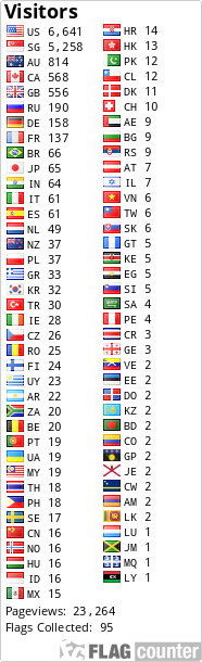 Flag Counter