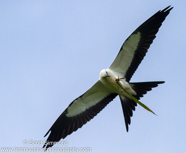 Photo & Video Sharing by SmugMug