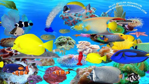 Blue Ocean Aquarium [Download]