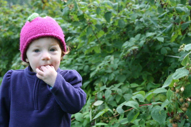 Berry Picking