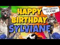 √ Télécharger joyeux anniversaire sylviane humour 439018