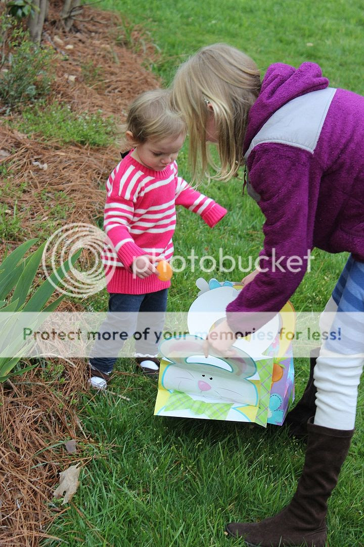 photo Spring49_zps6ec26f9d.jpg