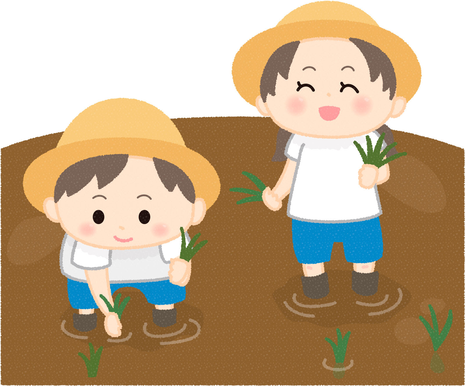 5月日 田植えの季節 第6回とらひめ田んぼアート 開催 カレーライスとお茶付きで参加費500円 小学生以下無料 滋賀のママがイベント 育児 遊び 学びを発信 シガマンマ ピースマム