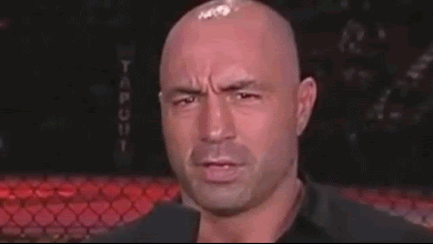 Image result for joe rogan
