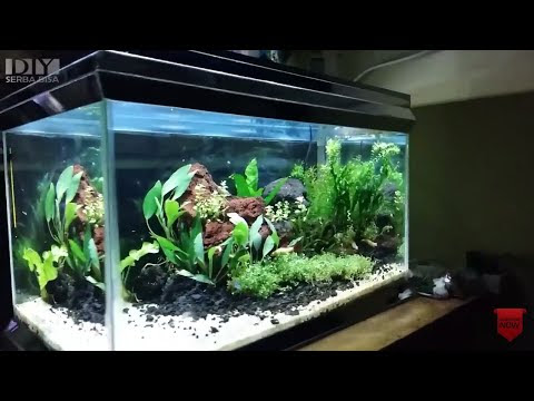  Cara  Membuat  Aquascape Sederhana Atagaleri Net SlideHD CO