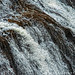 Yellowstone Abstract 7