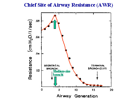 Turbulent flow pattern