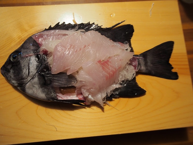 しまだい 富山湾岩瀬 富山 とやま 美味しい 魚 旬