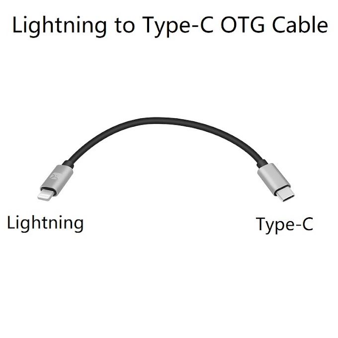 Lightning to Type-C OTG Cable for Shanling M2X M5s Up4 2 M0Fiio BTR5 3 iPhone 11 XS Max XR XS X 8 8
