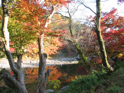 http://farm4.static.flickr.com/3282/3061828430_9853642629_b.jpg