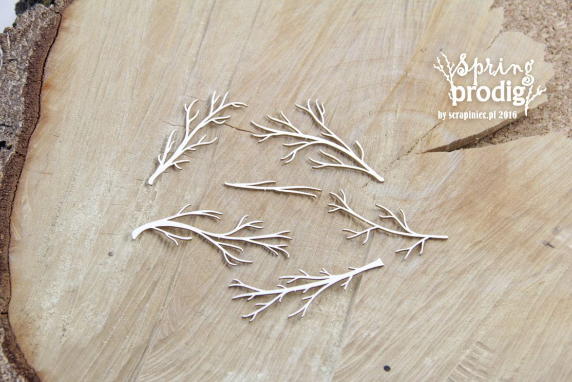 http://www.scrapiniec.pl/pl/p/Spring-Prodigy-Bare-branches-nagie-galezie/3991