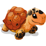 tortoise Tortoise