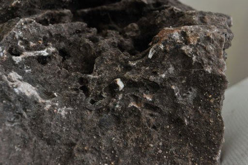 A rock in Johannesburg is said to contain what South African scientists claimed to be the most complete skeleton yet of an ancient relative of man, hidden in a rock excavated from an archeological site three years ago. (Photo AFP/Alexander Joe) 