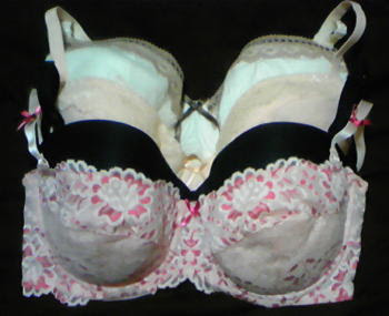 あいまいさ 弾性 関係する ブラジャー 福袋 トリンプ Akula Yachts Com