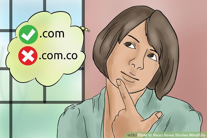 Read News Stories Mindfully Step 12.jpg