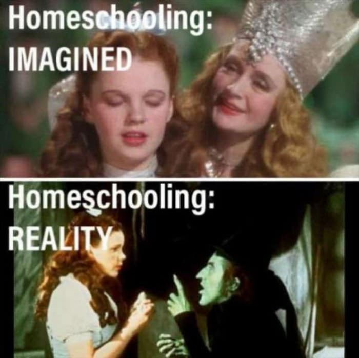 dailyhaha funny pictures