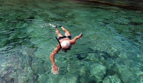 Swimmer