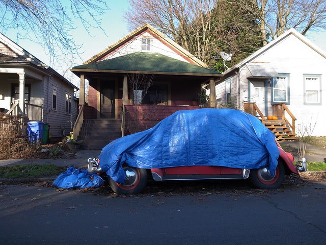 tarp