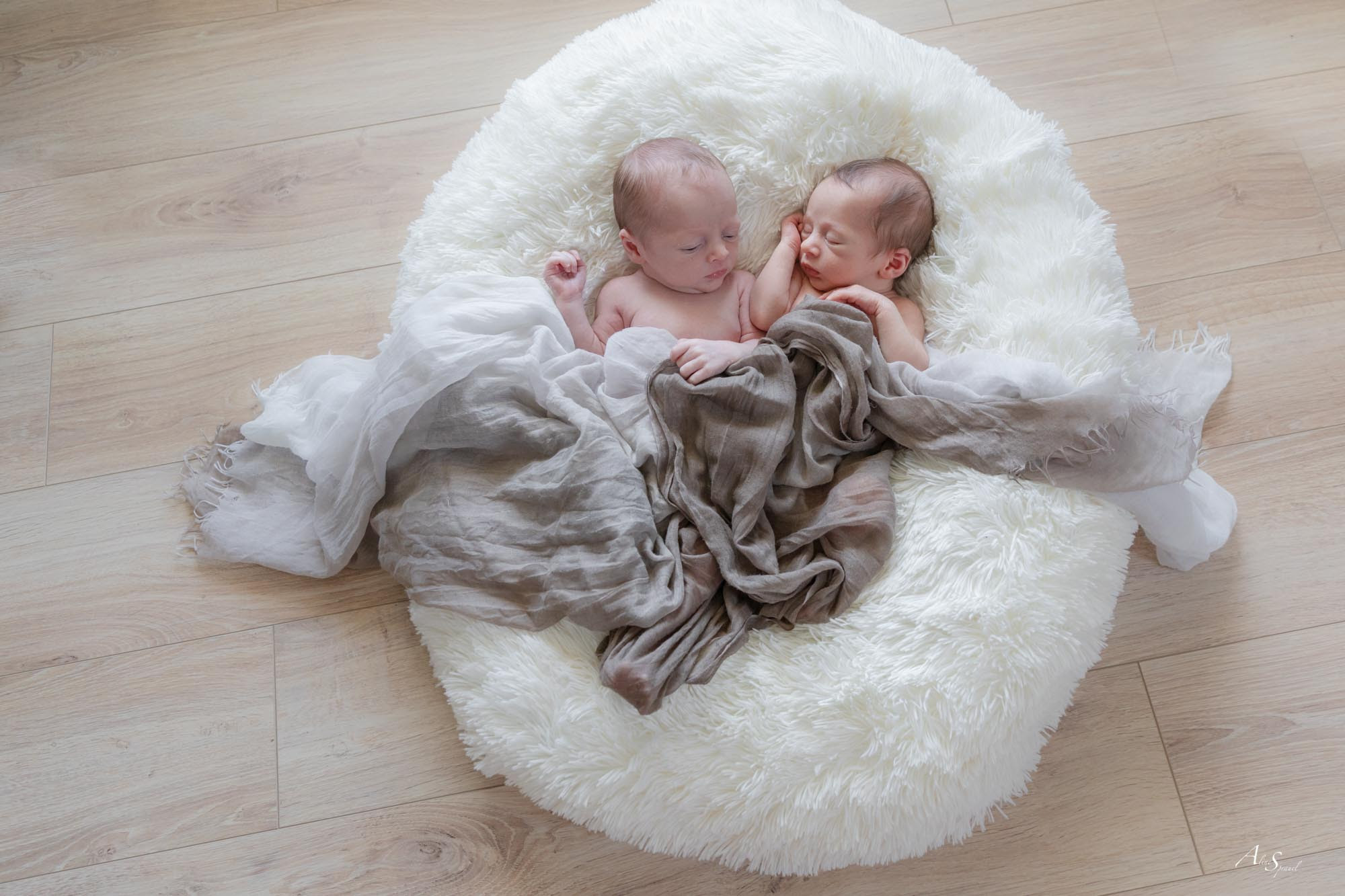 Seance Bebe Jumeaux Landes Photographe Landes 40