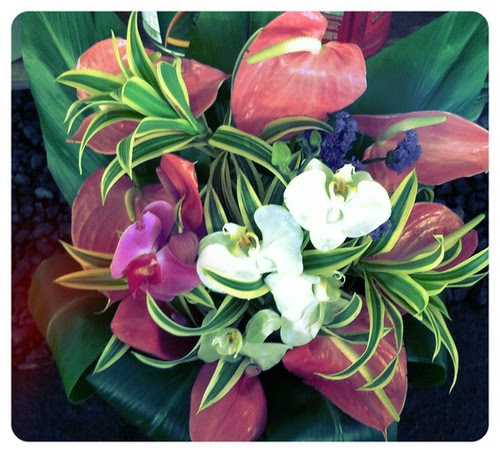 Tropical Flowers