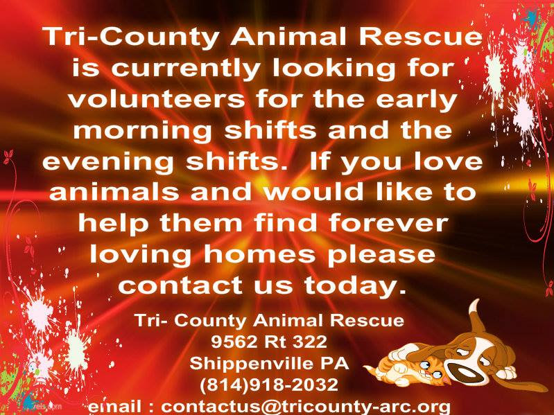 tri county animal rescue shippenville pa