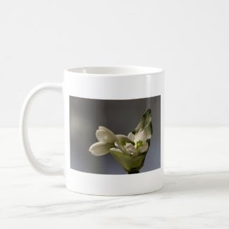 Snowdrop (Galanthus nivalis) Mug