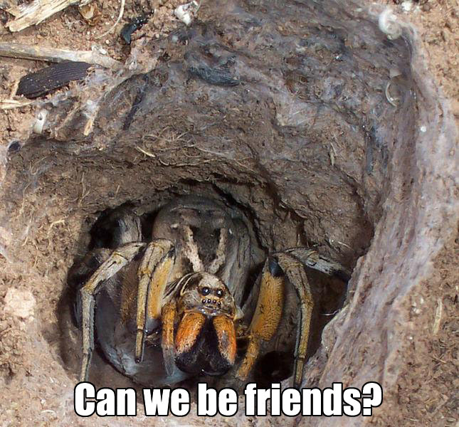 Scary Spier Meme By Lord Adaephon Memedroid