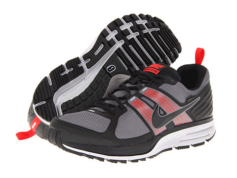 Nike Air Pegasus+ 29 GTX