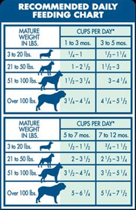 Rd.com pets & animals dogs every editorial product is independently selected, though we may be compensated or receive an. Pin on Pups