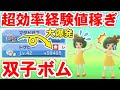 [最も欲しかった] ポケモン 努力値 振り直し ダイパ 207705-ポケモン 努力値 振り��し ダイパ