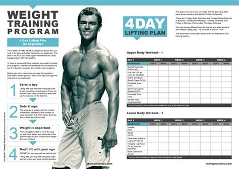 day weight lifting plan beginners workout