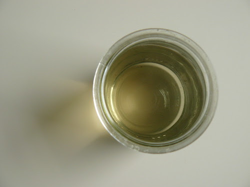 dyeing with plants // centaurea cyanus