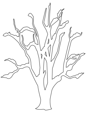 winter bare tree coloring page  free printable coloring pages