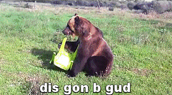 Dis Gon B Gud Bear Reaction Gifs