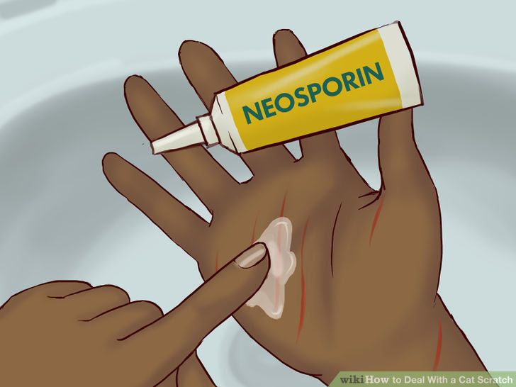 Deal With a Cat Scratch Step 8.jpg