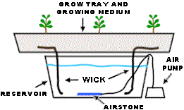 Thread: Simple Hydroponics, The Wick System