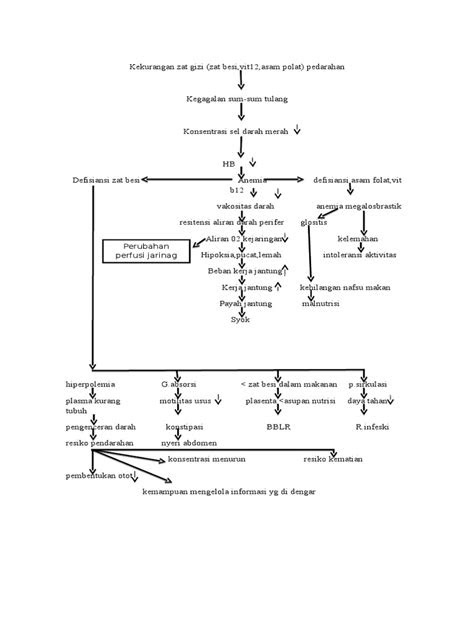 Pathway Anemia Ibu Hamil