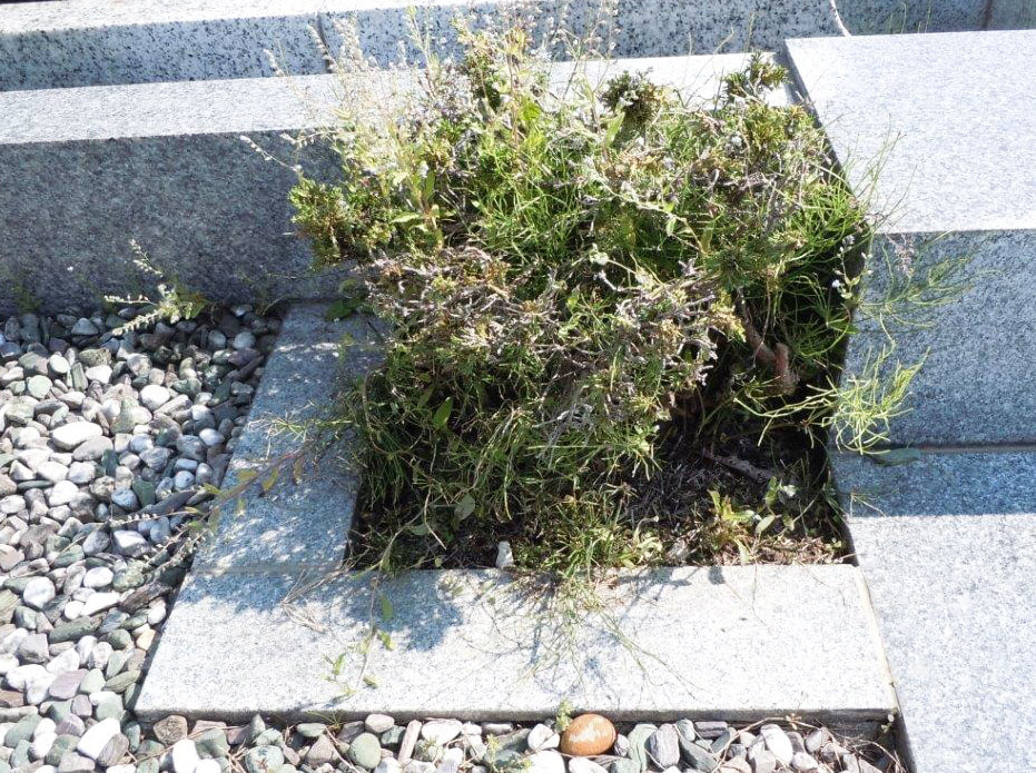 植木の植え替え デザイン墓石 記念碑 石材看板 渡辺石材