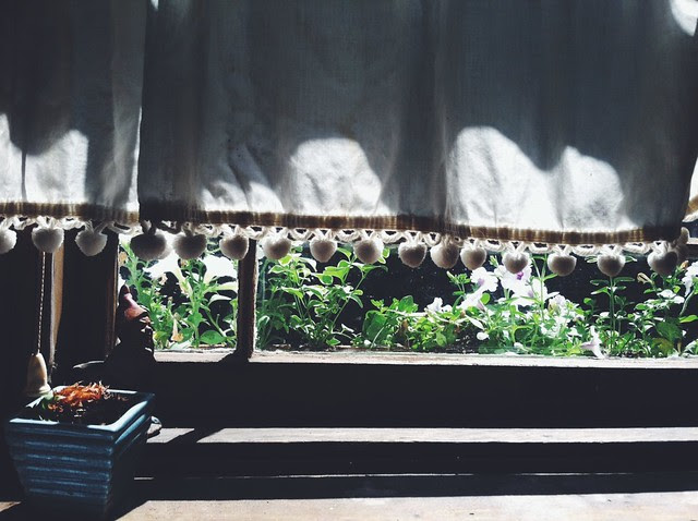 Kitchen Window