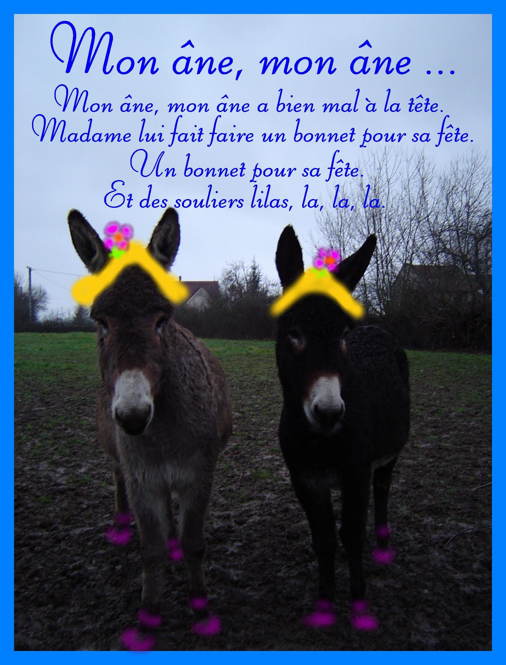 Mon Ane Mon Ane