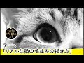 [ベスト] リス イラスト 簡単 書き方 240317-リス イラスト 簡単 書き方