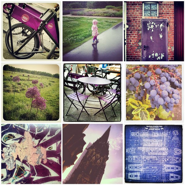 violet mosaic