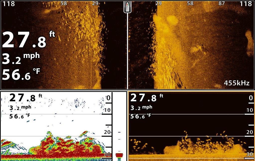 Fish Finder Reviews
