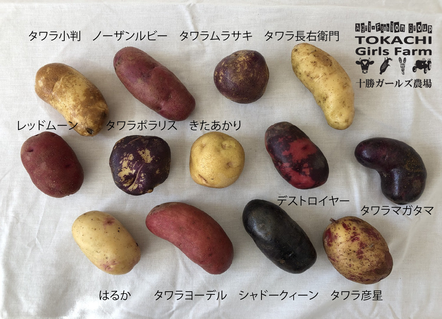 スポークスマン 多くの危険がある状況 そんなに ジャガイモ 販売 Shintiku Apaman Mkt Jp