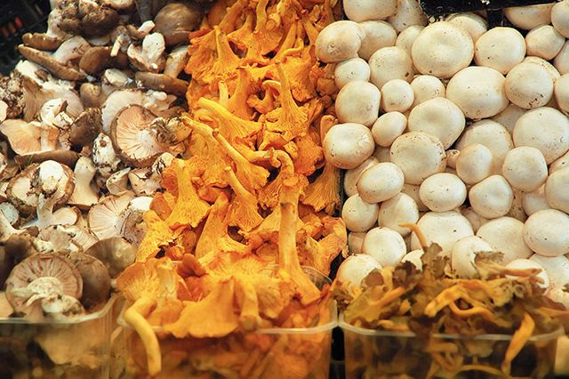 Bolets or Mushrooms at La Boqueria, Barcelona, Spain  [enlarge]