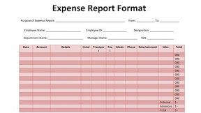 Everything You Need To Know About Expense Report Templates