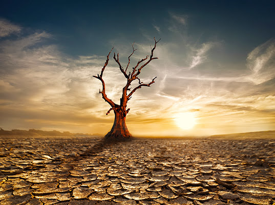 California drought, California water, California water issues, California lacking water, California drought issues, California crops, California agriculture, global warming, climate change, climate change drought, global warming drought, global warming water issues, climate change water issues, California farm drought, California farmers, California drilling, California water drilling, California farmers drilling, California groundwater, California aquifers, California crops, California crop water, Federal water limits, drought water limits