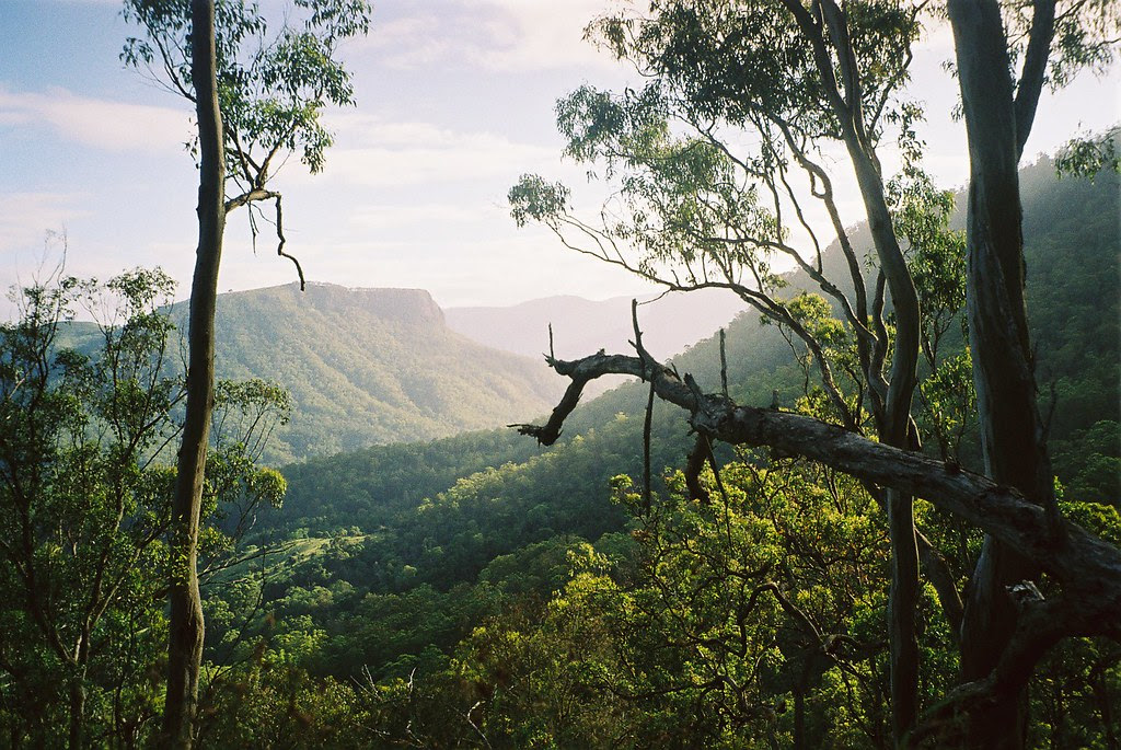 Buchanan's Fort, Lamington National Park, QLD