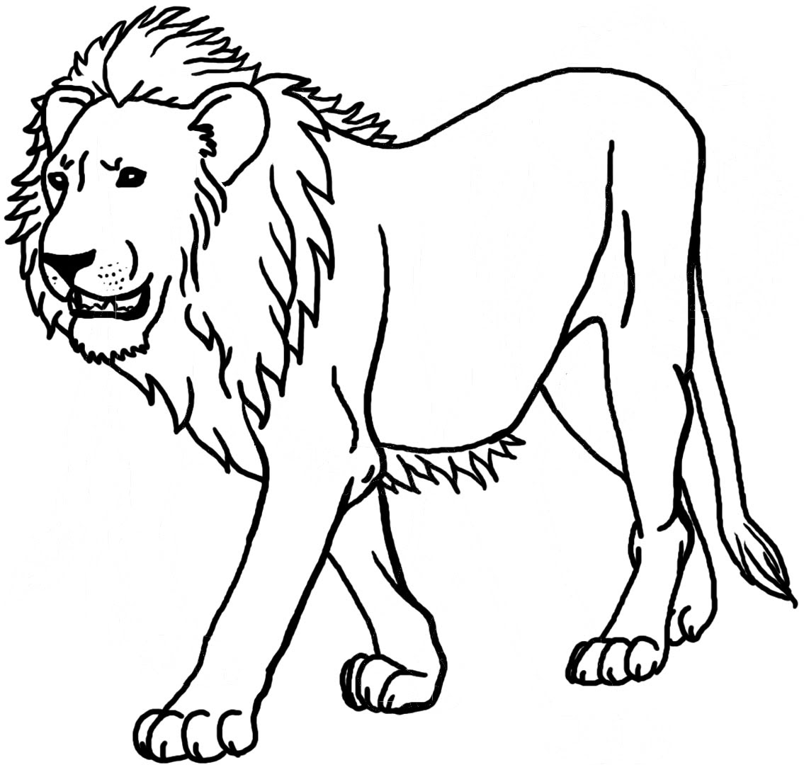 Dessin de lion