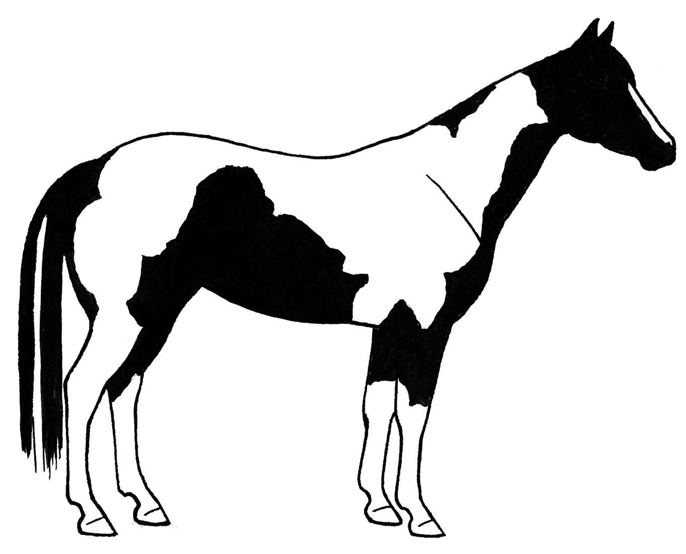 Free Paint Horse Svg SVG PNG EPS DXF File